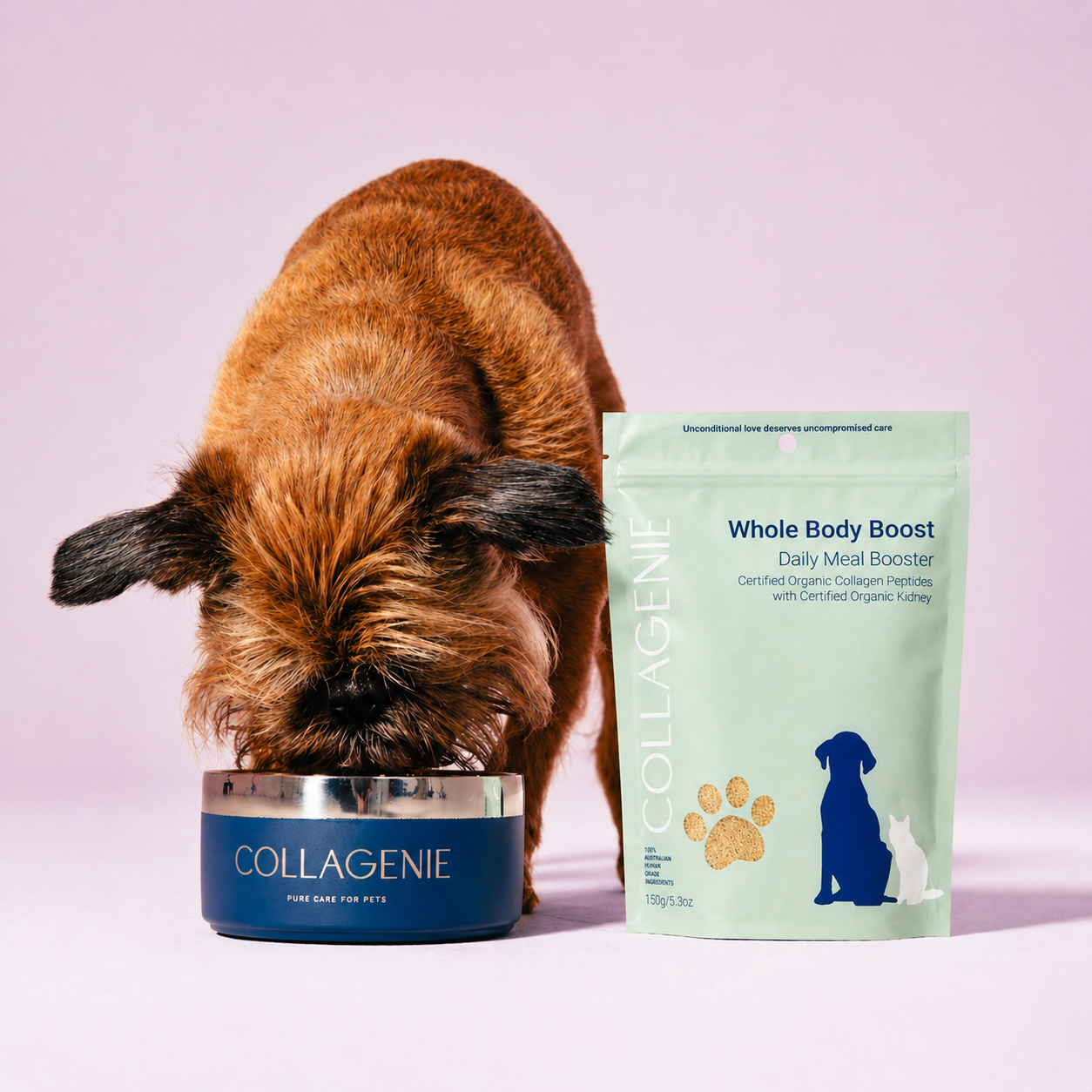 Whole Body Boost Certified Organic Meal Booster