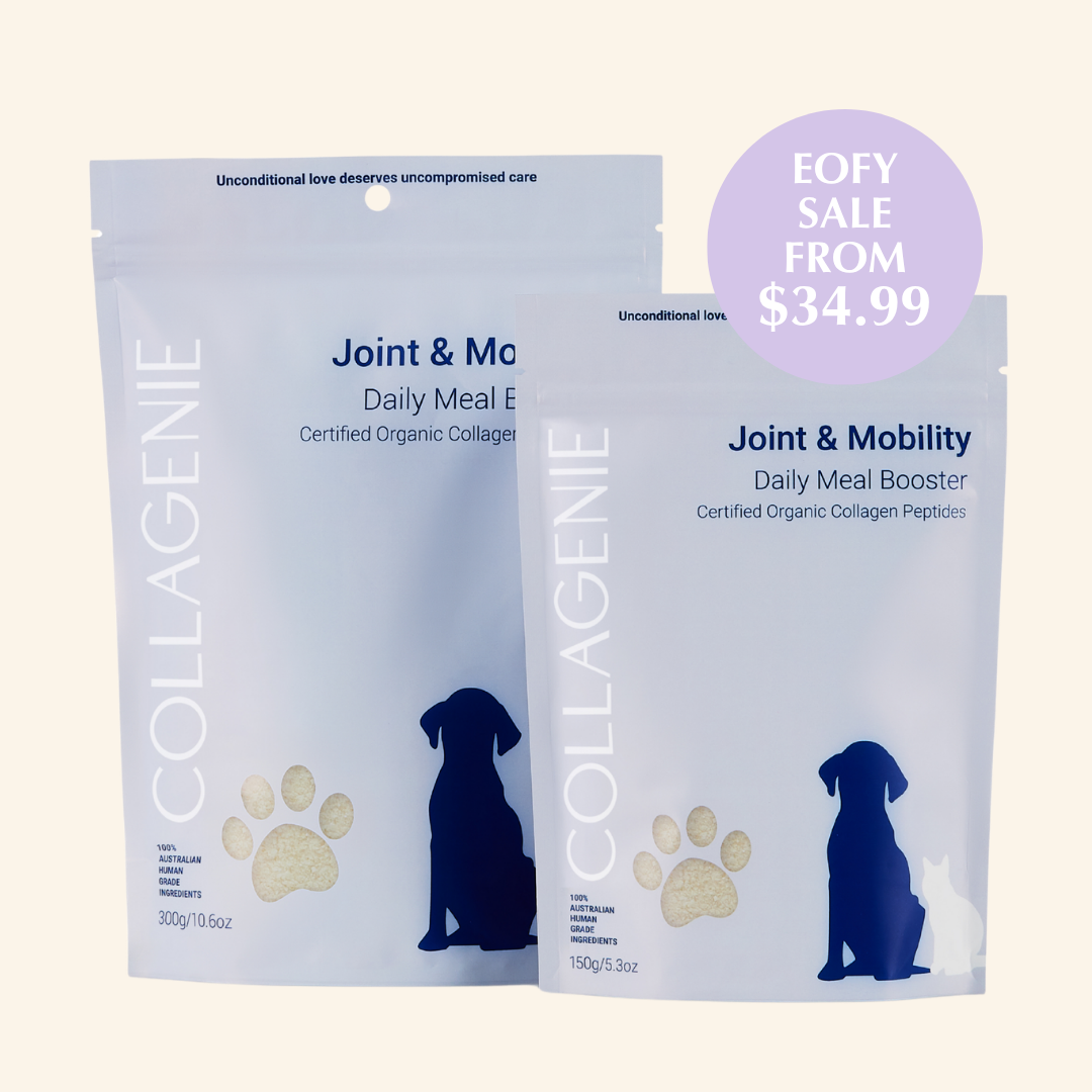 Joint & Mobility Certified Organic Meal Booster