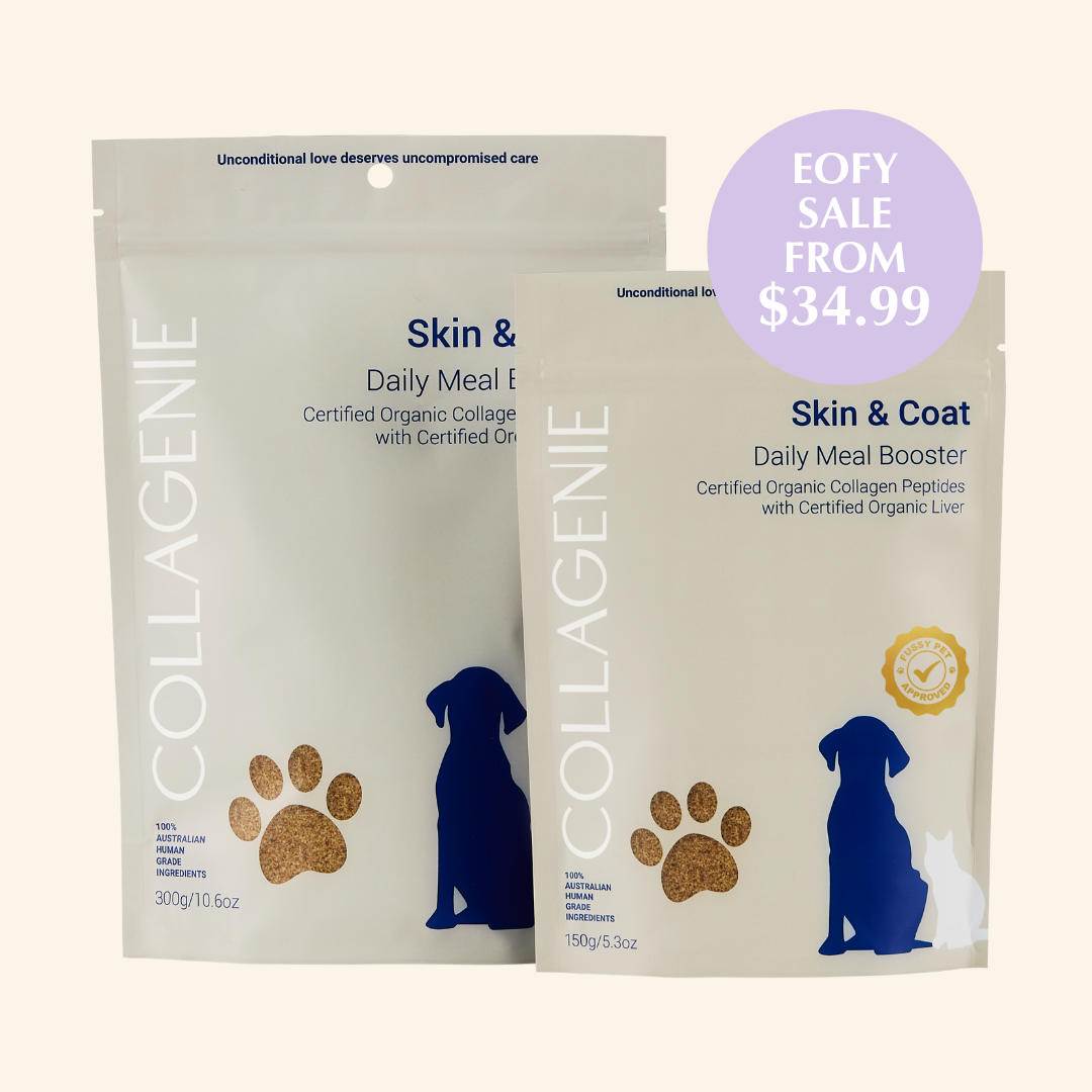 Skin & Coat Certified Organic Meal Booster