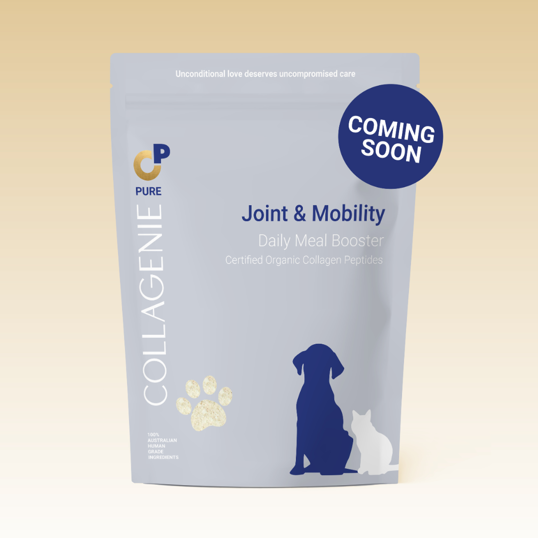 FlexiPaws (Improved Packaging)