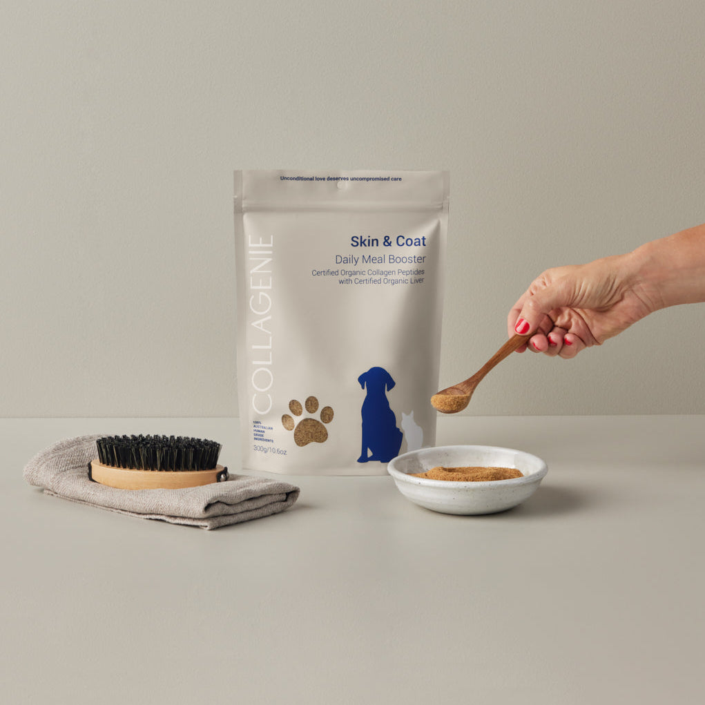 Skin & Coat Pouch with a bowl of food, brush, and towel on a neutral background