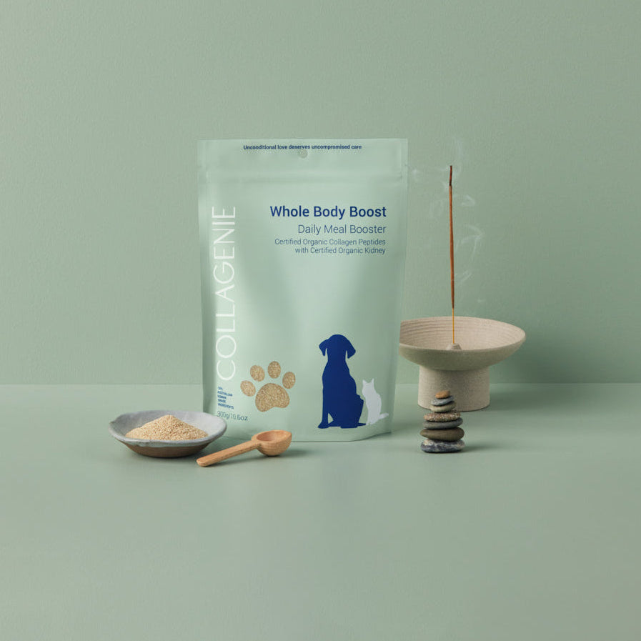 Whole Body Boost pouch on a green background