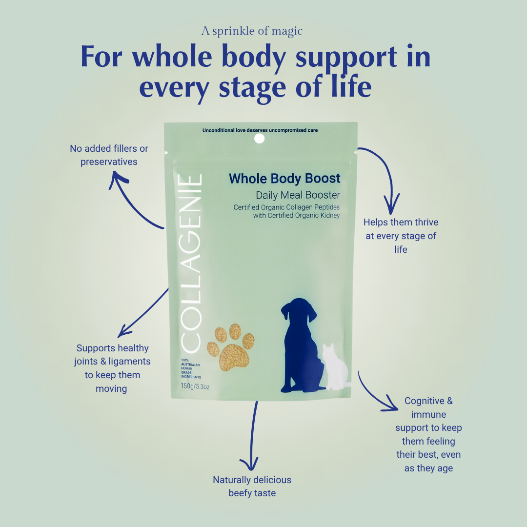 Whole Body Boost Certified Organic Meal Booster