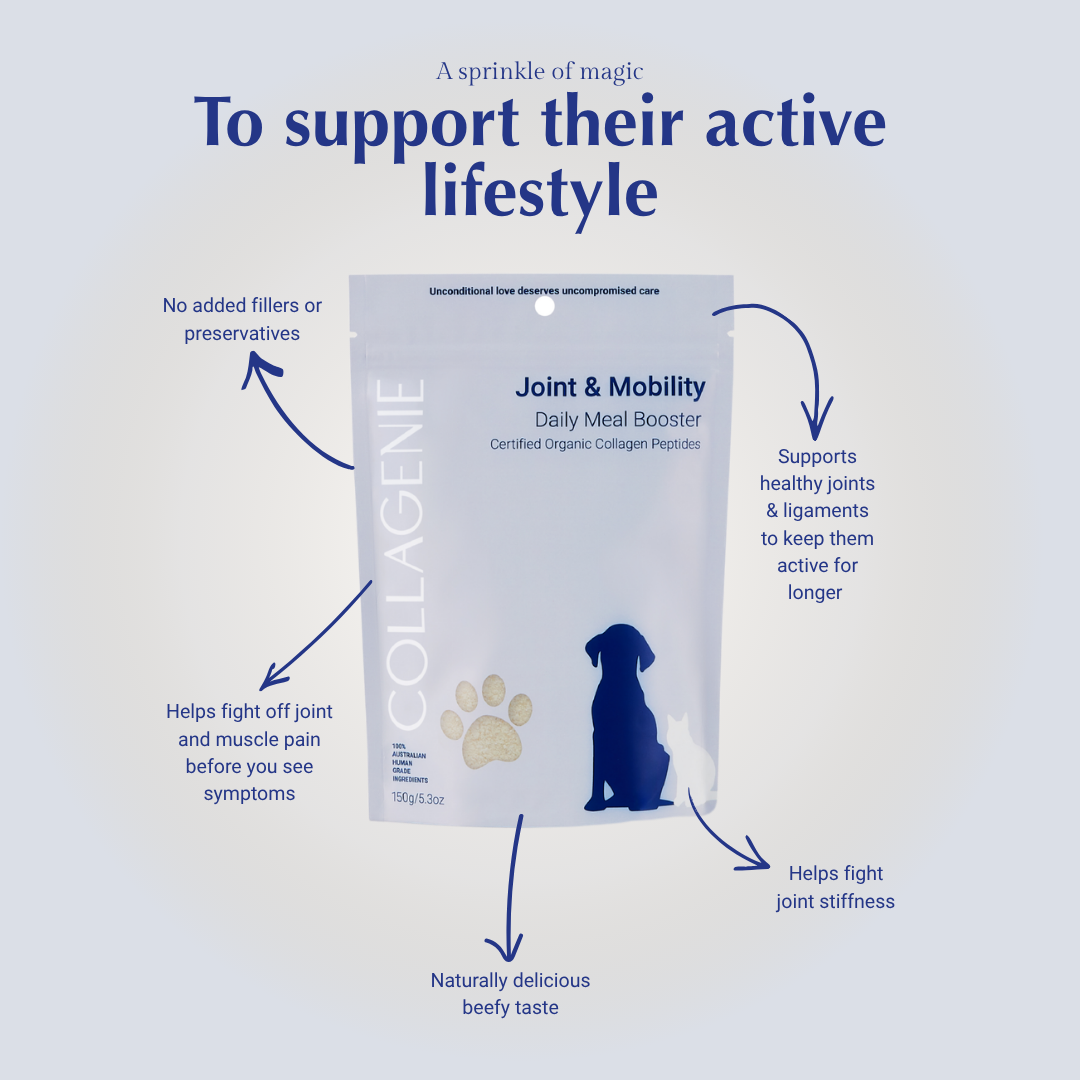 Joint & Mobility Certified Organic Meal Booster