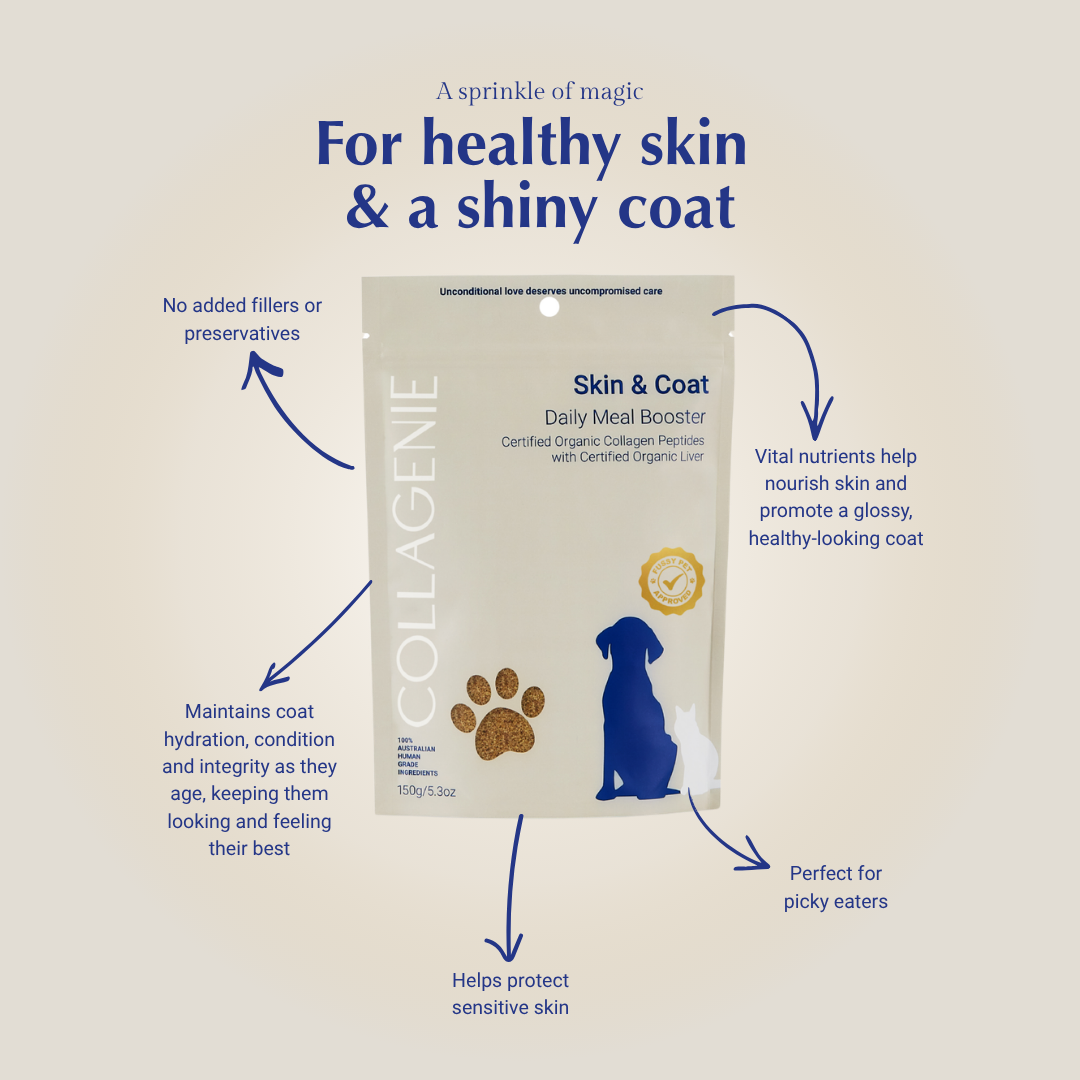 Skin & Coat Certified Organic Meal Booster