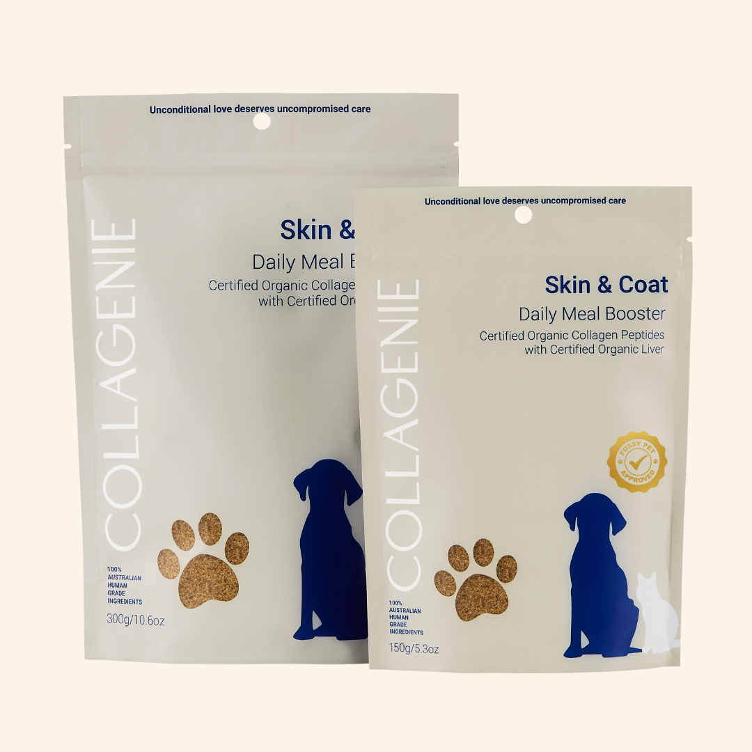 Skin & Coat Certified Organic Meal Booster