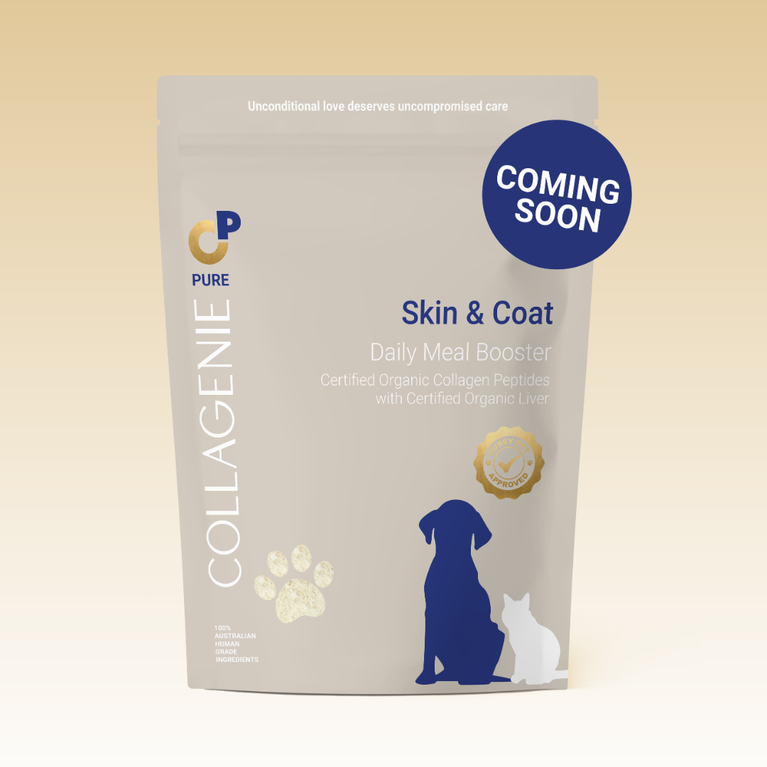 SilkiPaws (Improved Packaging)