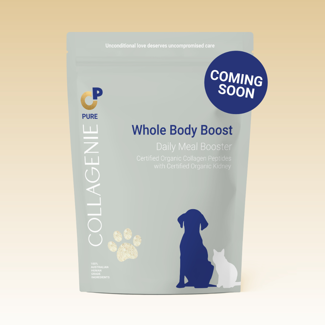 VitalPaws (Improved Packaging)