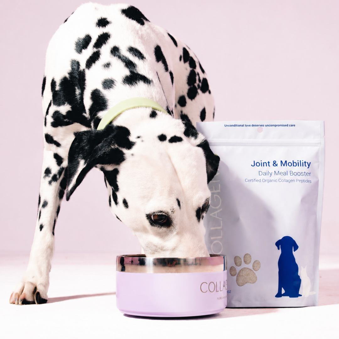 Joint & Mobility Certified Organic Meal Booster